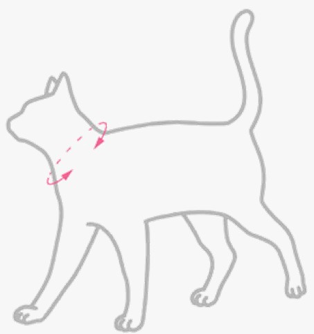 Size Chart Image